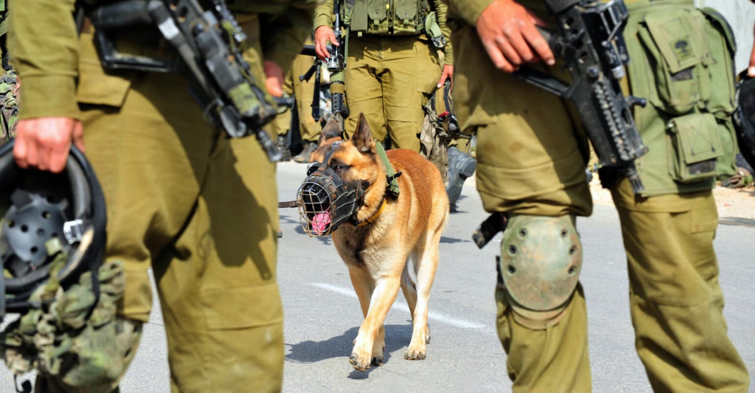 IDF Honors Fallen Canine Comrades in Moving Ceremony