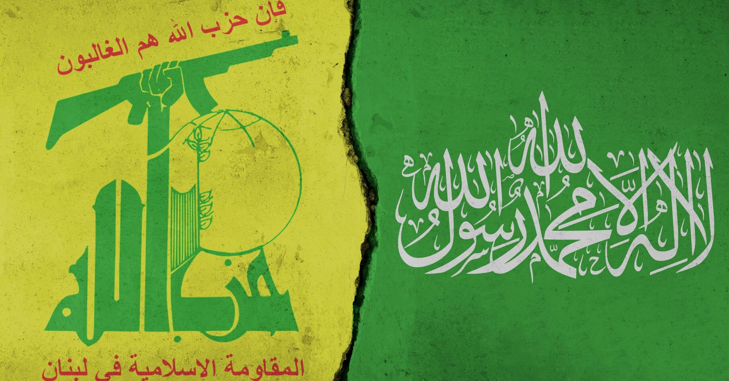 If Hamas Agrees To Ceasefire, Hezbollah Will Also Stop | Viewpoint Israel