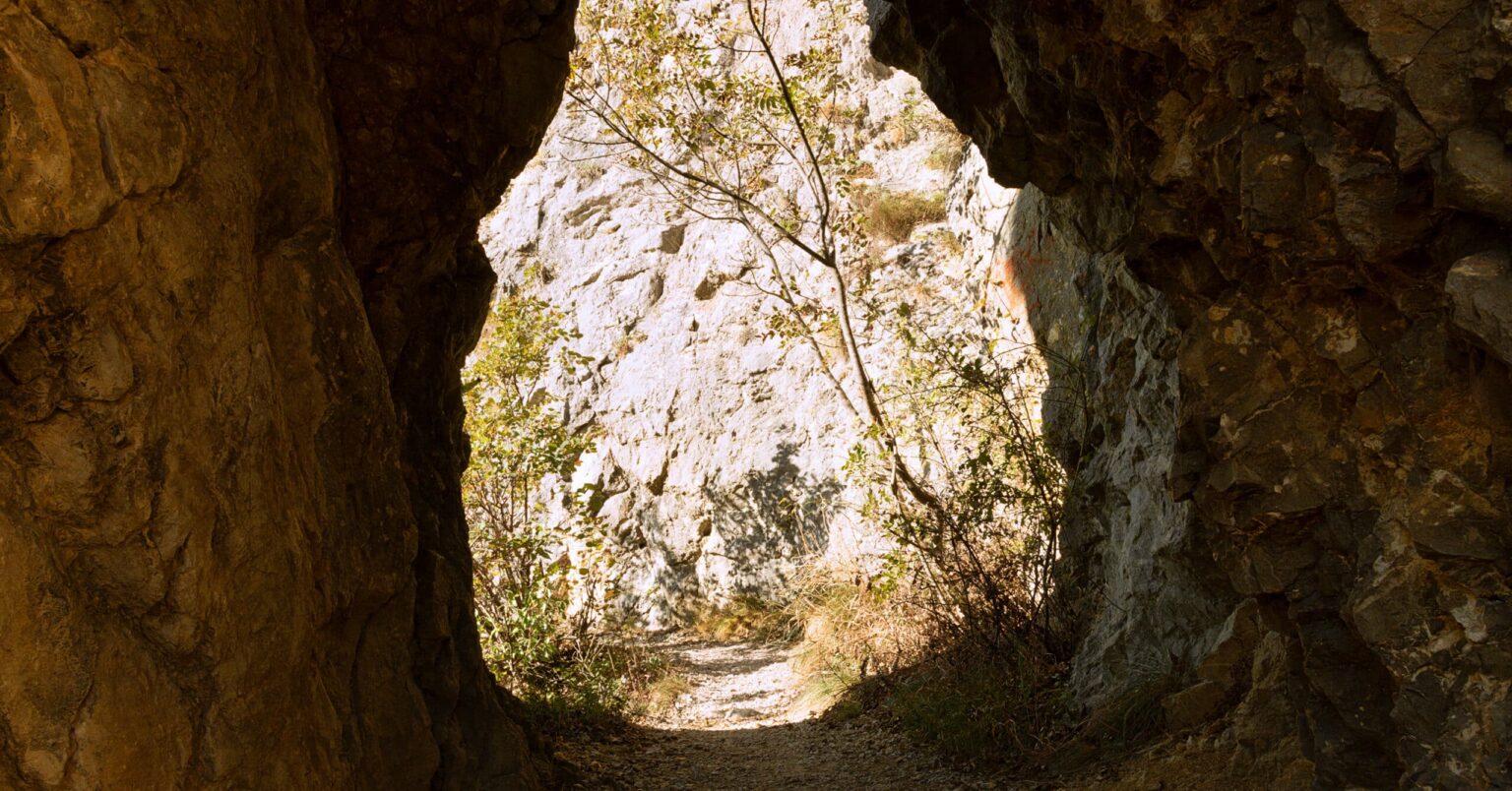 Beneath the Surface: Terror Tunnel Network